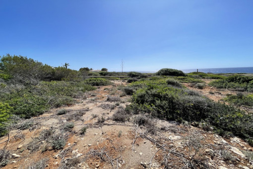 Wunderschönes Investitionsgrundstück in erster Meereslinie, Meerblick, in Binidali, Menorca.